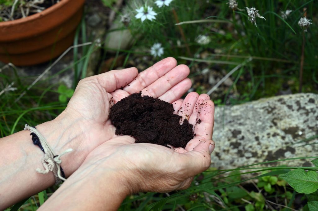 Marc de café pour compost-iStock.com