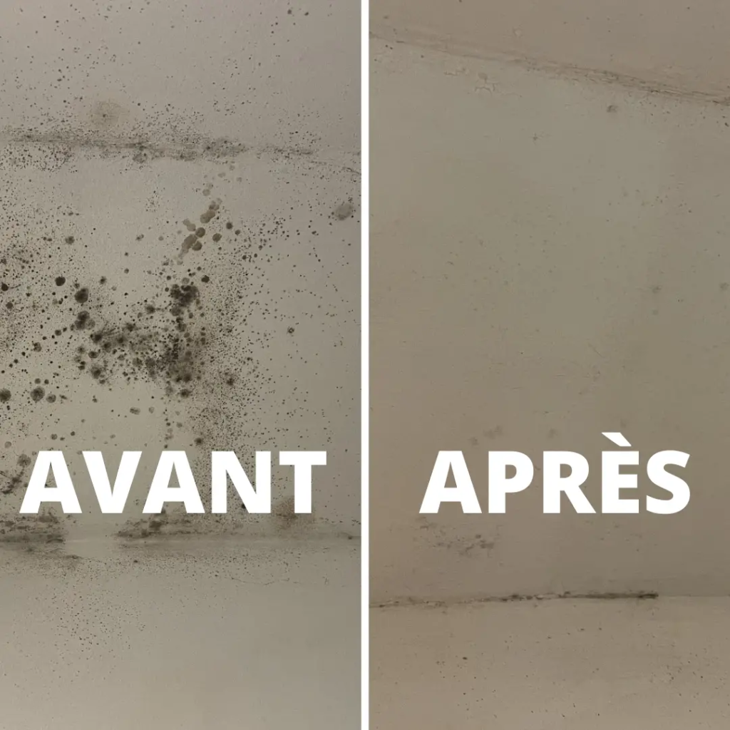 4 astuces pour lutter contre l'humidité à la maison - Astuces de Grand-Mère