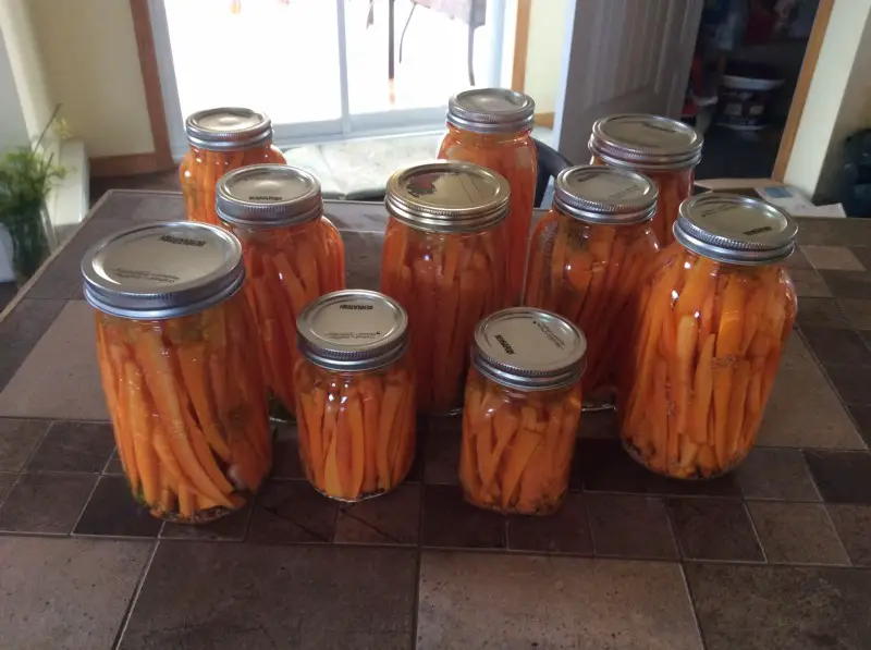 Comment faire des conserves de carottes ?