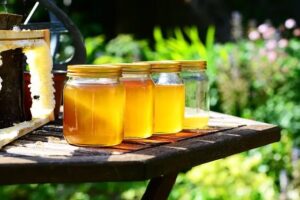 Quels sont les bienfaits du miel ?
