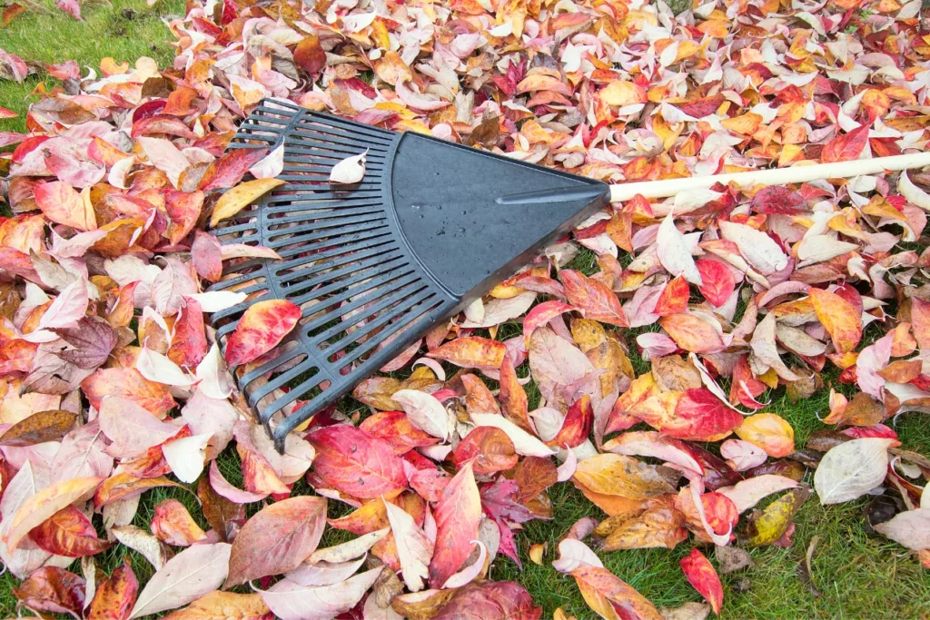 Feuilles mortes dans le jardin : Astuces pour une utilisation bénéfique