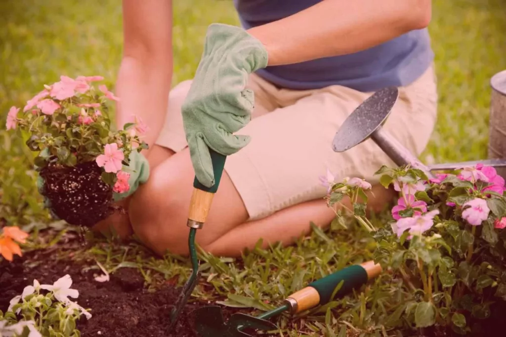 Comment planter des graines - Jardin de Grand Meres