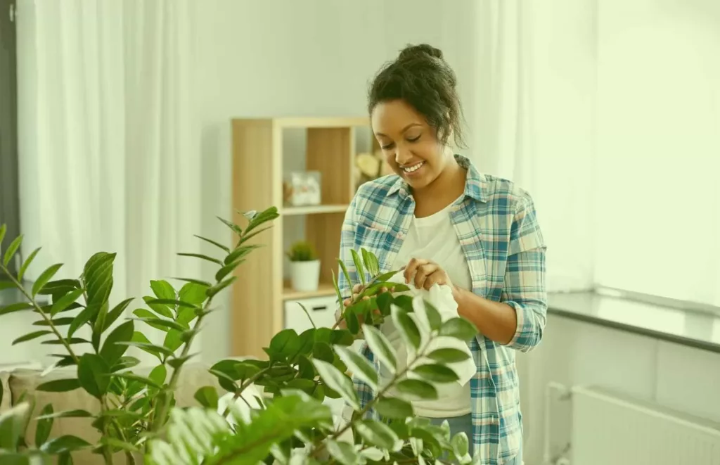 Astuces De Grand Mère Pour Les Plantes