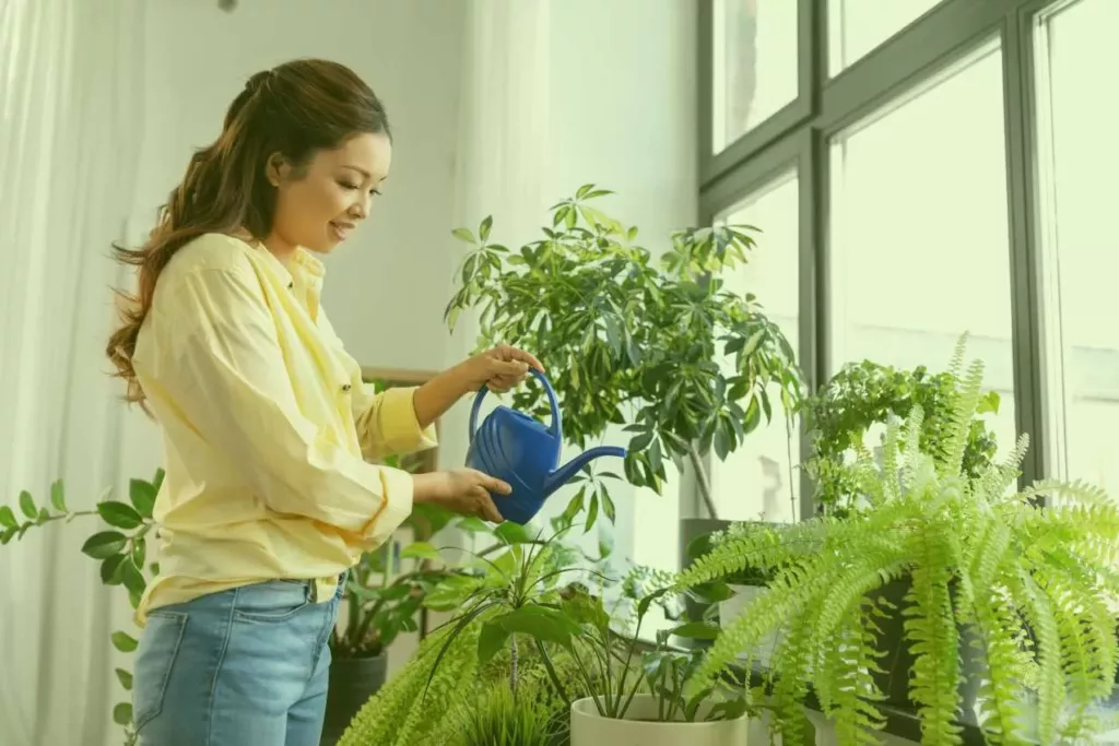 Mode d'emploi pour vos fleurs de thé - Au Paradis du Thé