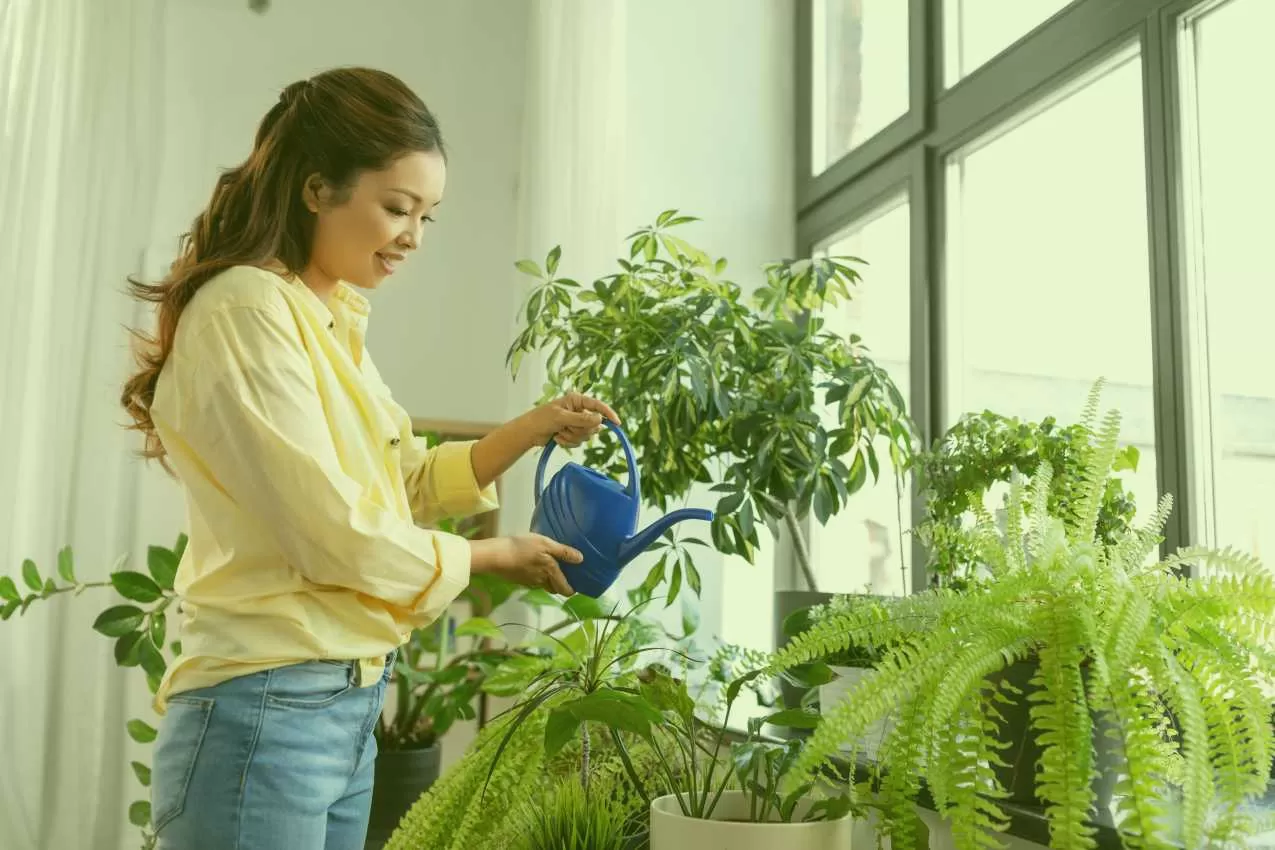 16 astuces de grand-mère pour les plantes d'intérieur