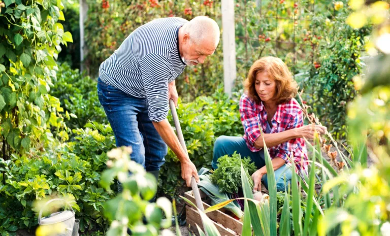 Automne au potager : cultivez des légumes gourmands après l'été !