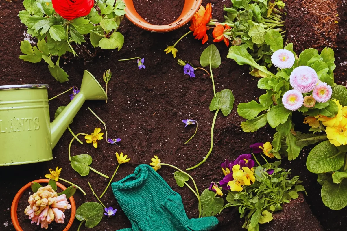 Comment Joindre L'automne Au Mot Jardin Français