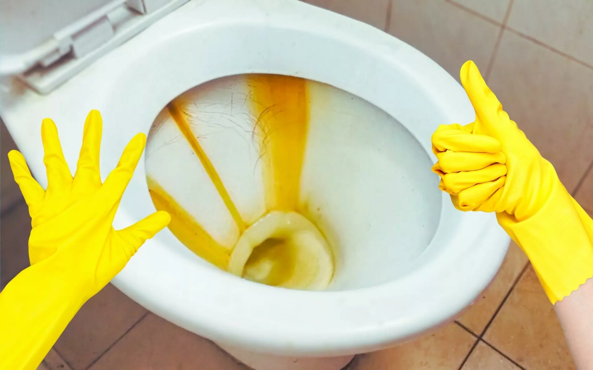Éliminez les tâches de rouille de vos toilettes en un instant !