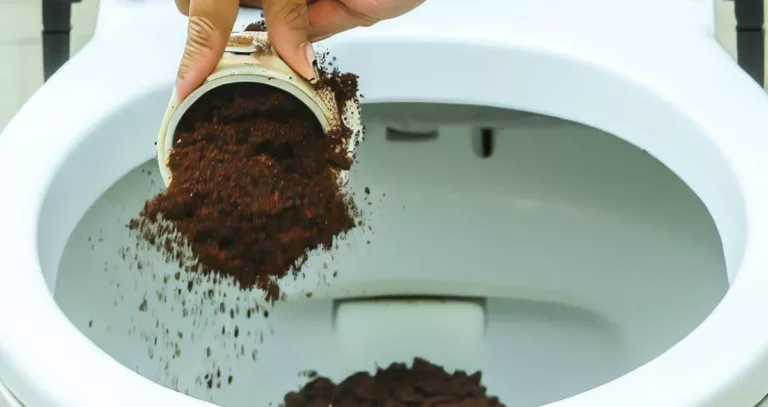 Marc de café : l'astuce que vos toilettes adorent