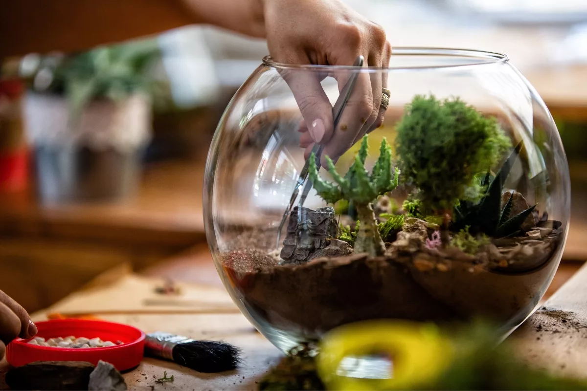 Pas La Main Verte Voici Comment Sublimer Votre Intérieur Avec Le Terrarium Parfait !