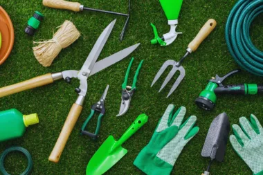 Pourquoi Vos Outils Pourraient Ruiner Votre Jardin... Et Comment L'éviter !