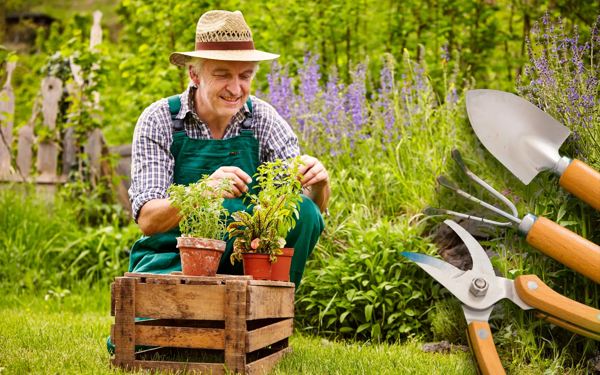 Jardinage : protégez vos plantes pour l'hiver au balcon ou au jardin