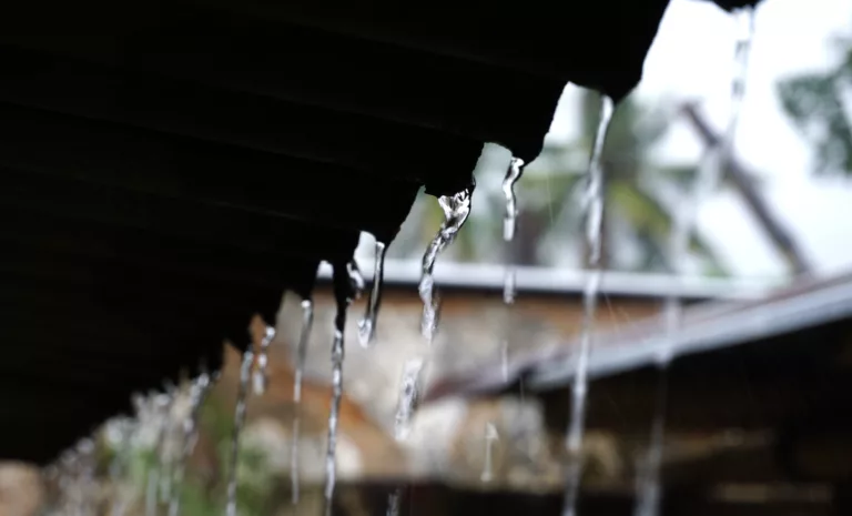 Quelles sont les règles d'usage domestique des eaux de pluie ?