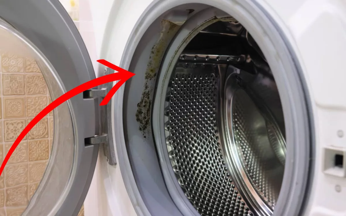 Vous En Avez Assez De La Moisissure Nettoyez Votre Machine à Laver Avec Ce Produit Simple