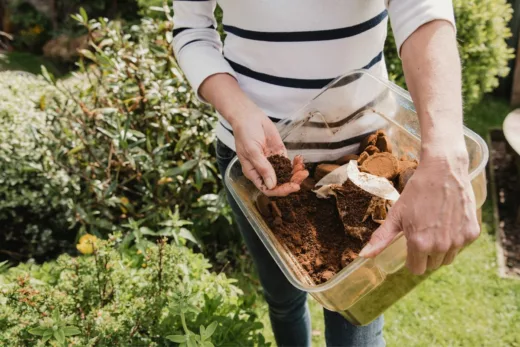 Le Marc De Café Un Fertilisant Gratuit Ou Un Véritable Poison Pour Vos Plantes