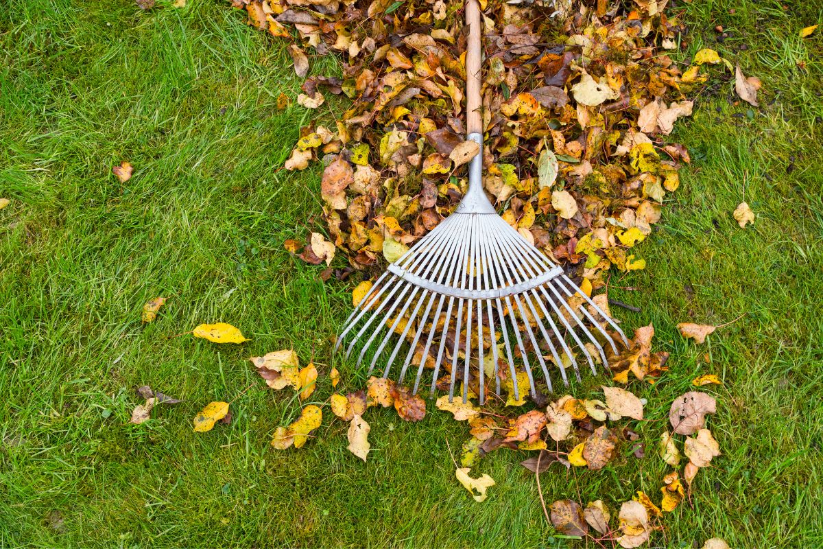 Les Choses à Faire Pour Le Bien être Son Jardin En Octobre