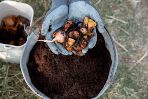 Accélérer La Décomposition De Votre Compost N'est Pas Impossible !