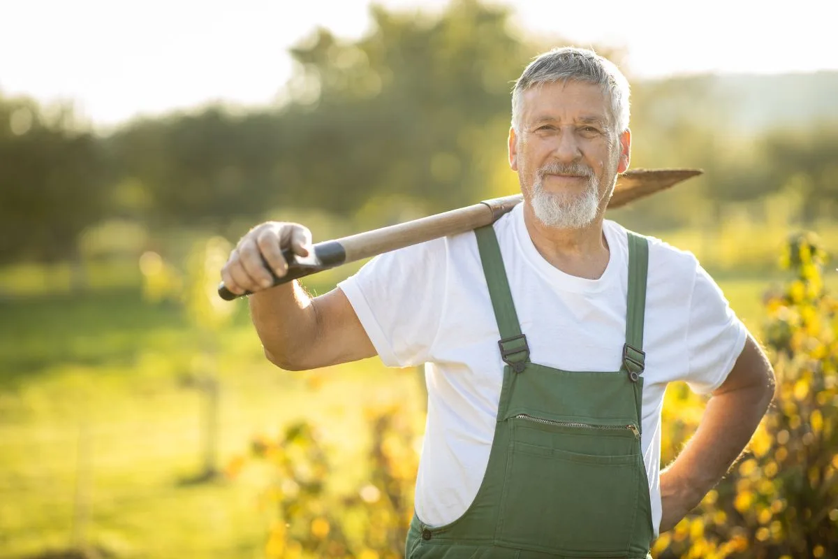 C’est Le Moment De Planter ! Le Planning De Novembre Est Chargé Pour Les Jardiniers