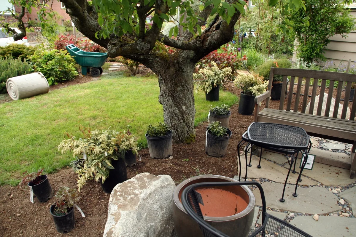 Cette Poudre Insoupçonnée Qui Fait Du Bien À Votre Jardin !