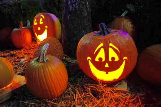 Faites Durer Vos Citrouilles D'halloween Plus Longtemps !