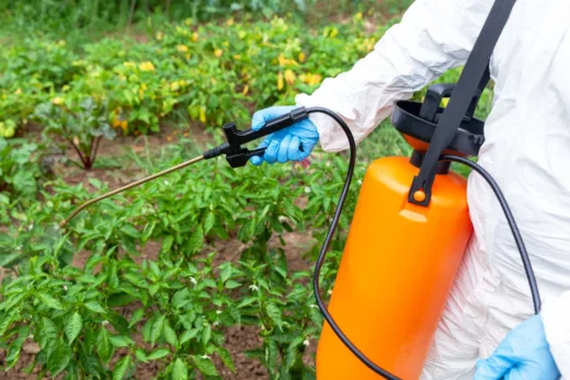 Mon Voisin Utilise Du Glyphosate ! Dois Je Le Signaler Rapidement