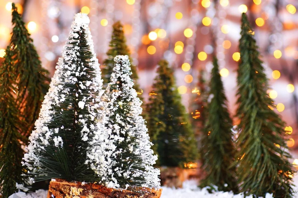 Et Si C'était Possible De Redonner Vie à Son Sapin De Noël Après Les Fêtes