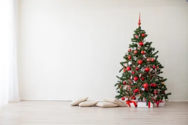 Voici Les Sapins De Noël Réellement Écologiques En 2023 !