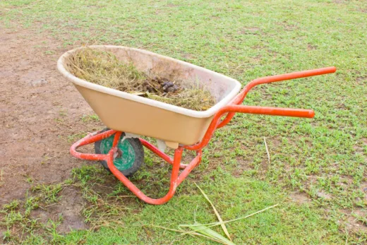 Fumier De Cheval Le Trésor Dont Votre Potager A Besoin !