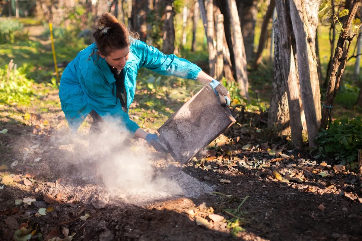 Ne Jetez Plus Vos Cendres De Cheminées ! Leur Place Est Dans Le Compost