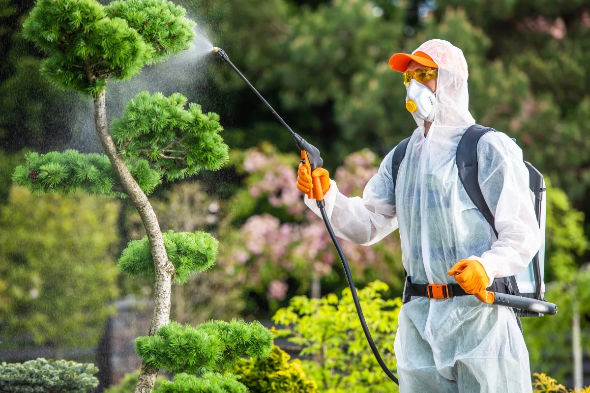 Plantes à propriété : Fongicide - Génial Végétal