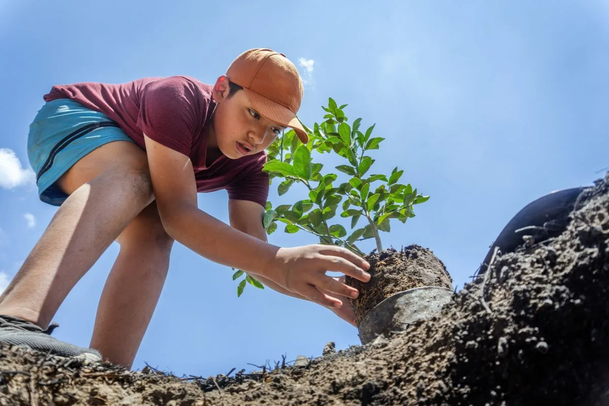 Cultiver Plantes Indigenes Jardin Ecologique