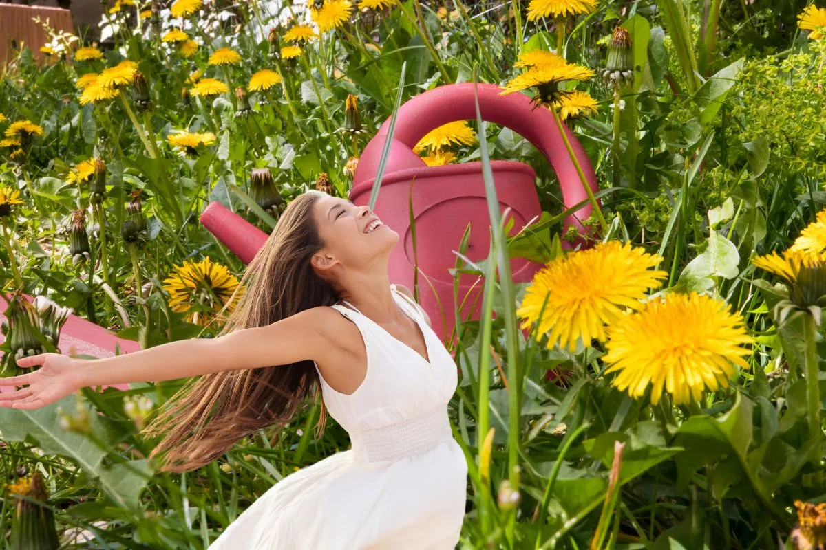 avre de paix en plein air dans votre jardin