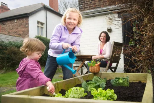 Diy Jardinage Express Carre Potager 2 Heures