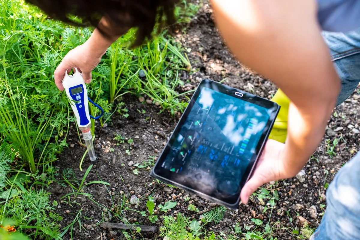  Effectuez un test pH du sol pour enrichir votre jardin avec succès.