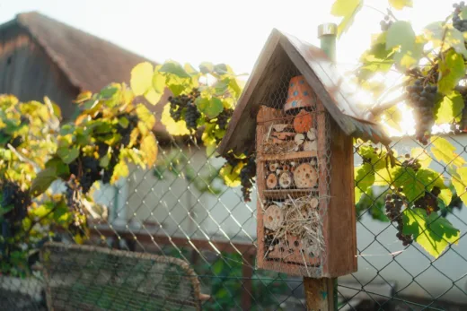 Jardin Ecologique Attirez Biodiversite Astuces Inedites