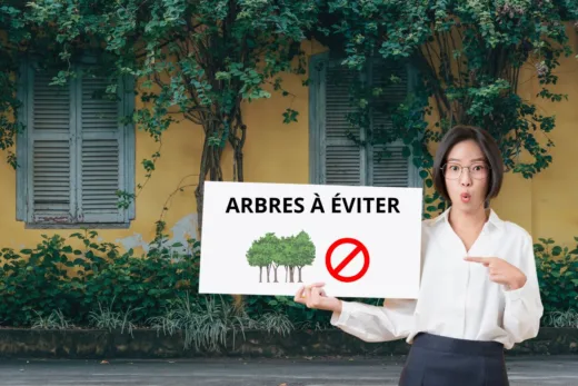 Liste essentielle des arbres à éviter près des murs de votre maison.