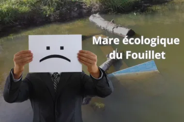 État de la mare écologique du Fouillet, proie aux dégradations, découvrez cette oasis naturelle.