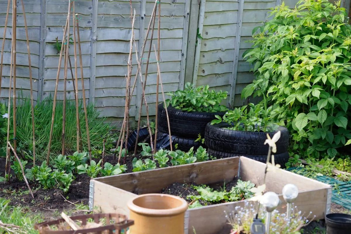 Materiel Preparatifs Carre Potager