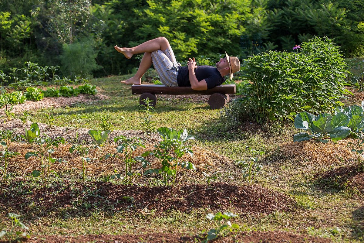 La permaculture, un havre de paix pour votre bien-être.