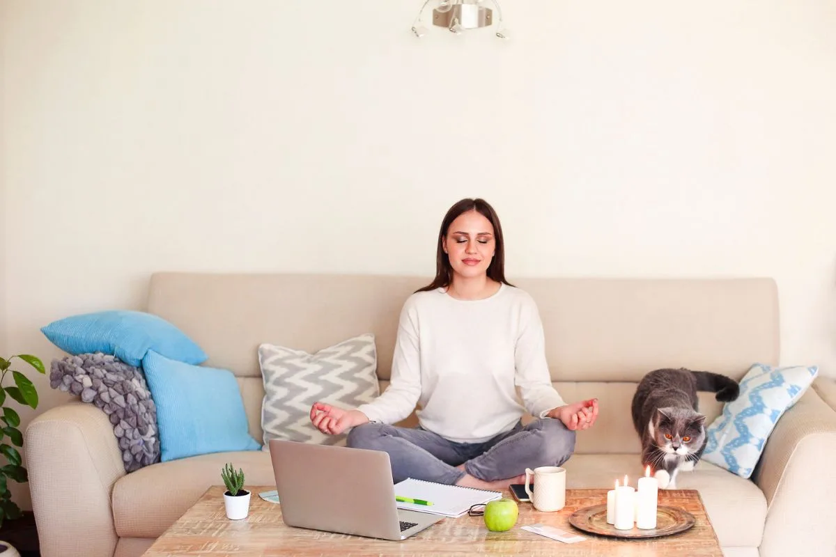 Ambiance Zen Maison