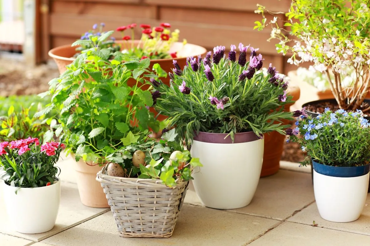 Astuces Aménager Petit Jardin