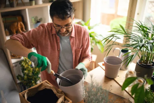 Cultivez des légumes même avec peu d'espace en pratiquant le jardinage en conteneurs.