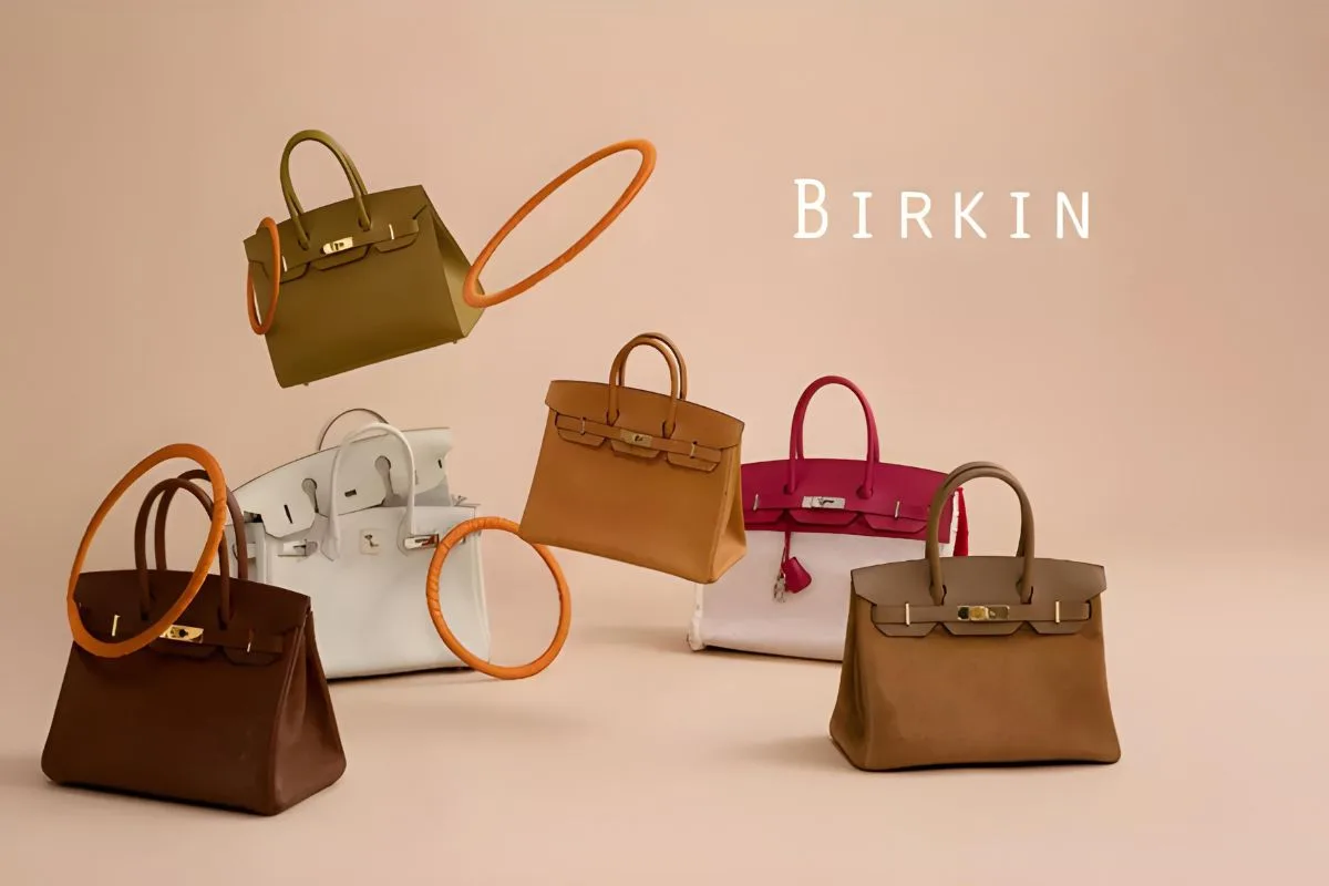 Sac Birkin Hermès