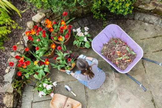 Quelles plantes choisir pour un joli jardin printanier ?