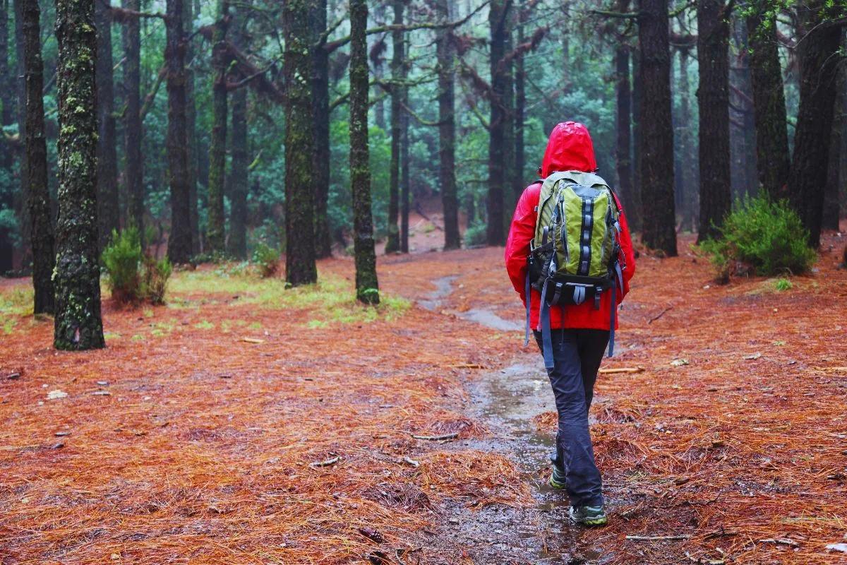 Randonneur en veste rouge marchant dans un sentier forestier sous la pluie.