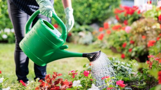 Arrosage Du Jardin
